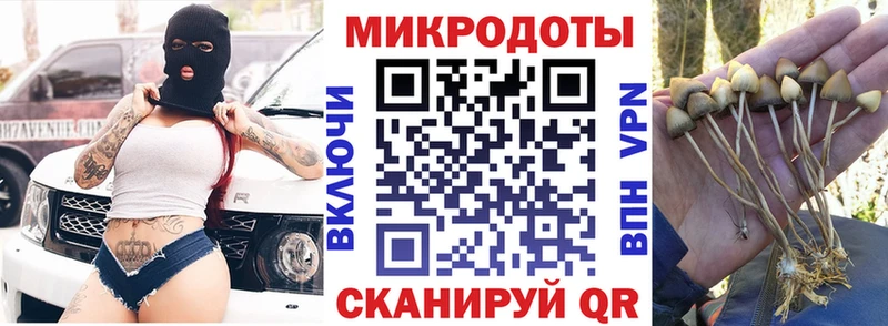 закладки  Орлов  ОМГ ОМГ ТОР  Галлюциногенные грибы Psilocybine cubensis 